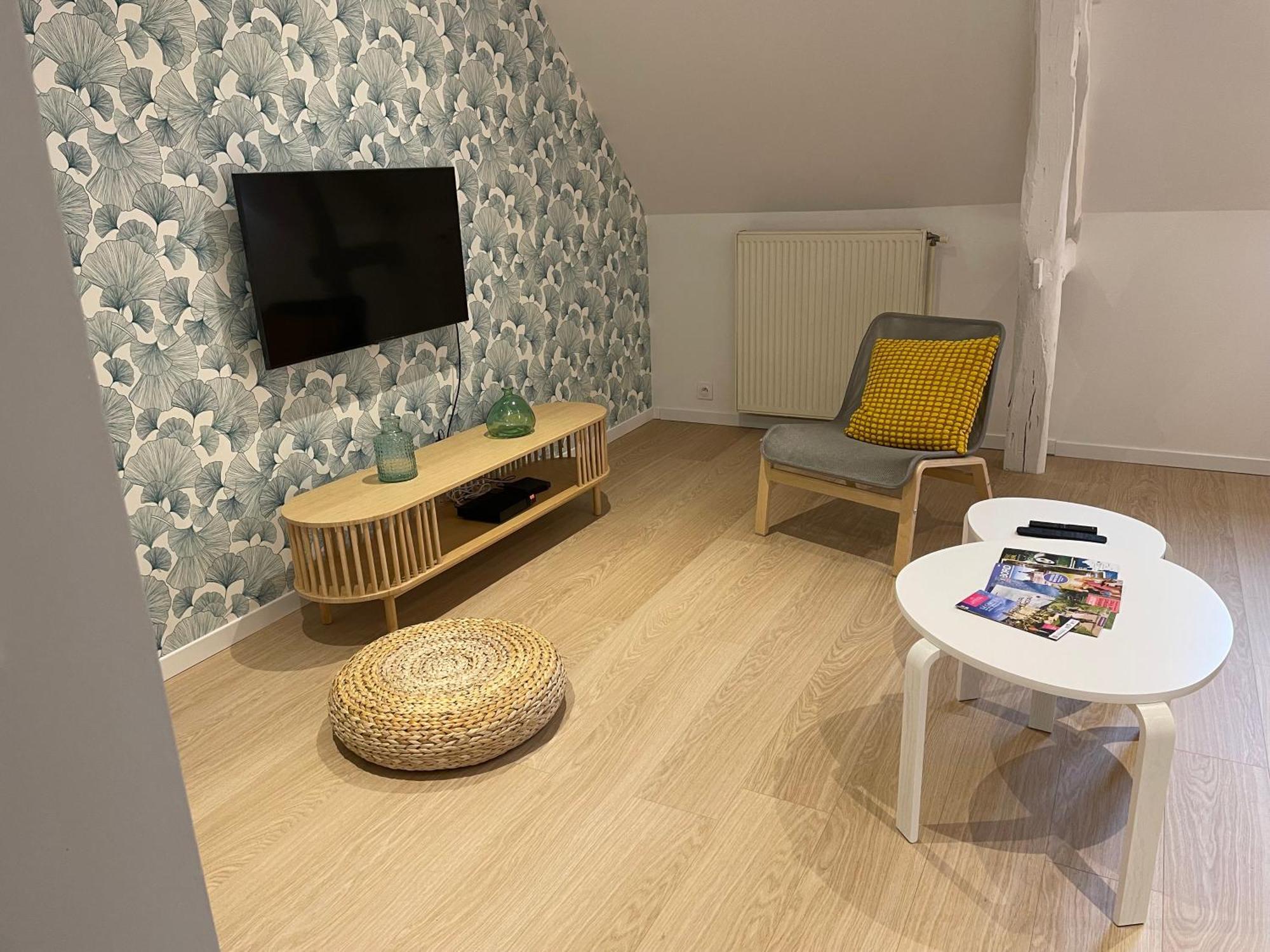 Villa Family Loft A 5Minutes Du Zooparc De Beauval à Châteauvieux Extérieur photo